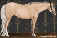 Horse Color:Silver Buckskin Pearl Sabino 