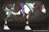 Horse Color:Liver Chestnut  and Liver Chestnut Frame 