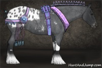 Horse Color:Blue Roan Appaloosa