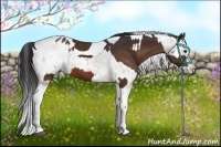 Horse Color:Brown Sabino Splash Tobiano Blanket and Brown Sabino Splash Blanket