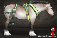 Horse Color:Gray Black Pearl Appaloosa 