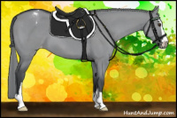Horse Color:Grullo Chinchilla Sabino Varnish 
