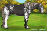 Horse Color:White Spotted Liver Chestnut Mushroom 