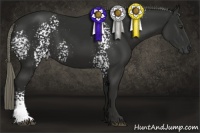 Horse Color:White Spotted Liver Chestnut Mushroom 