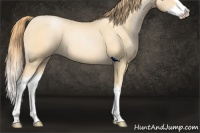 Horse Color:Smoky Black Pearl Splash 