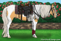 Horse Color:Silver Buckskin Tobiano Appaloosa 