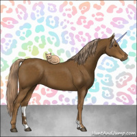 Horse Color:Chocolate Palomino 