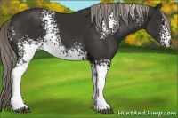 Horse Color:White Spotted Liver Chestnut Mushroom 