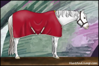 Horse Color:Brown Tobiano Appaloosa 