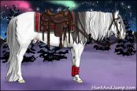 Horse Color:Bay Sabino Appaloosa 