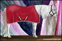 Horse Color:Bay Sabino Tobiano Appaloosa