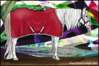 Horse Color:Chestnut Appaloosa