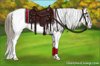 Horse Color:Buckskin Tobiano Appaloosa
