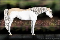 Horse Color:Silver Classic Champagne Dun Splash Frame 