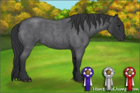 Horse Color:Blue Roan 