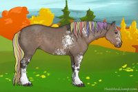 Horse Color:Painted White Spotted Silver Grullo