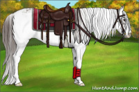 Horse Color:Liver Chestnut Sabino