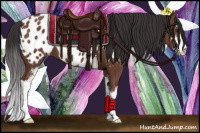 Horse Color:Bay Sabino Appaloosa 