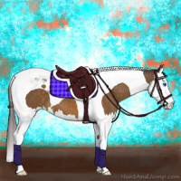 Horse Color:Buckskin Splash Tobiano Appaloosa 