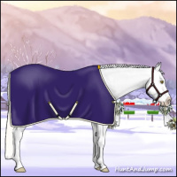 Horse Color:Silver Buckskin Roan Dun Appaloosa