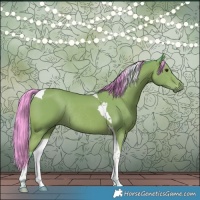 Horse Color:Watercolor Bay Tobiano Rabicano 