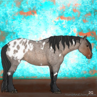 Horse Color:White Spotted Brown Roan Dun Blanket Brindle