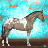 Horse Color:Smoky Grullo Roan Tobiano Blanket Rabicano 