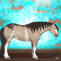 Horse Color:White Spotted Liver Red Dun Rabicano 