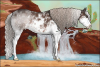 Horse Color:Liver Chestnut Sabino 