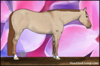 Horse Color:Red Dun Brindle 