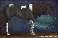Horse Color:Liver Chestnut Tobiano 