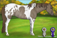 Horse Color:Smoky Grullo Tobiano Appaloosa Rabicano