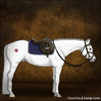 Horse Color:Gray Brown Dun Tobiano