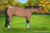 Horse Color:Bay Roan Tobiano 