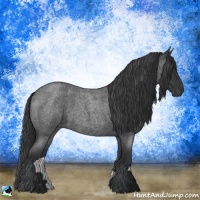 Horse Color:Blue Roan 