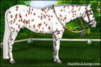 Horse Color:Silver Brown Leopard 