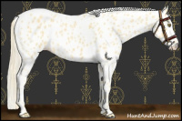 Horse Color:Palomino Roan Leopard 