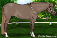 Horse Color:Liver Red Dun Roan 