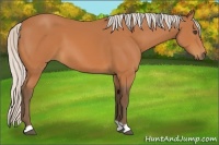 Horse Color:Silver Bay 