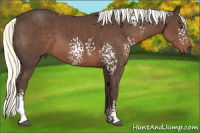 Horse Color:White Spotted Liver Chestnut Mushroom