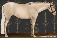 Horse Color:Chocolate Silver Smoky Black Pearl Rabicano 