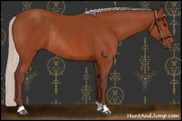Horse Color:Chocolate Silver Bay Rabicano 