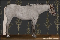 Horse Color:Silver Blue Roan Sabino 