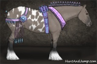 Horse Color:Grullo Blanket 
