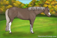 Horse Color:Silver Black 