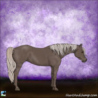 Horse Color:Silver Black 