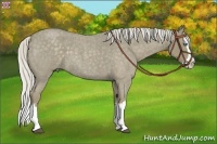 Horse Color:Silver Smoky Blue Roan Splash 