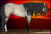 Horse Color:Bay Roan Dun 