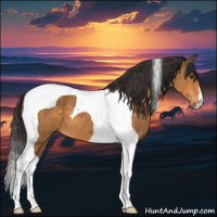 Horse Color:Buckskin Tobiano 