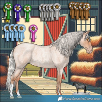 Horse Color:Silver Classic Champagne Roan